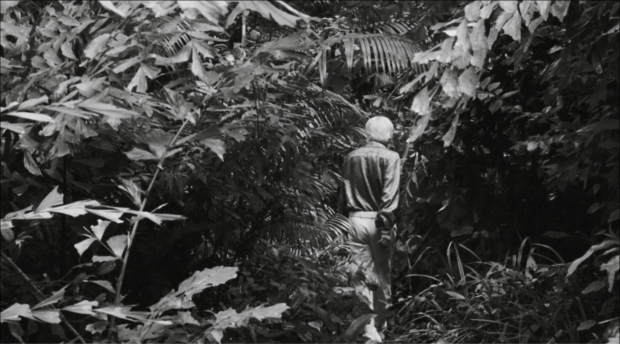 Alternativa Film Screenings