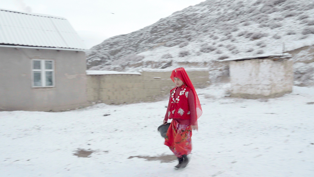 The Prisoner of Wakhan